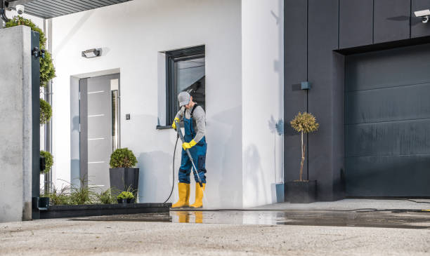 Best Sidewalk and Walkway Cleaning  in Runge, TX